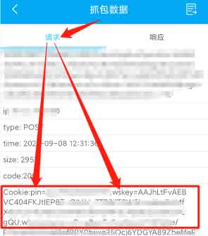 点击查看原图 829068494.jpg